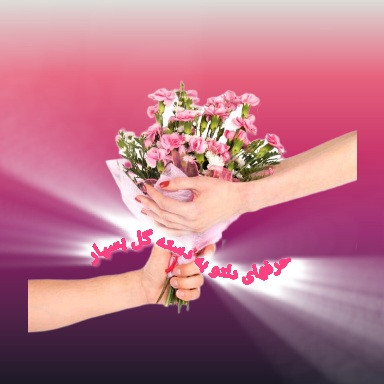 دسته گل خواستگاری گلهای صورتی