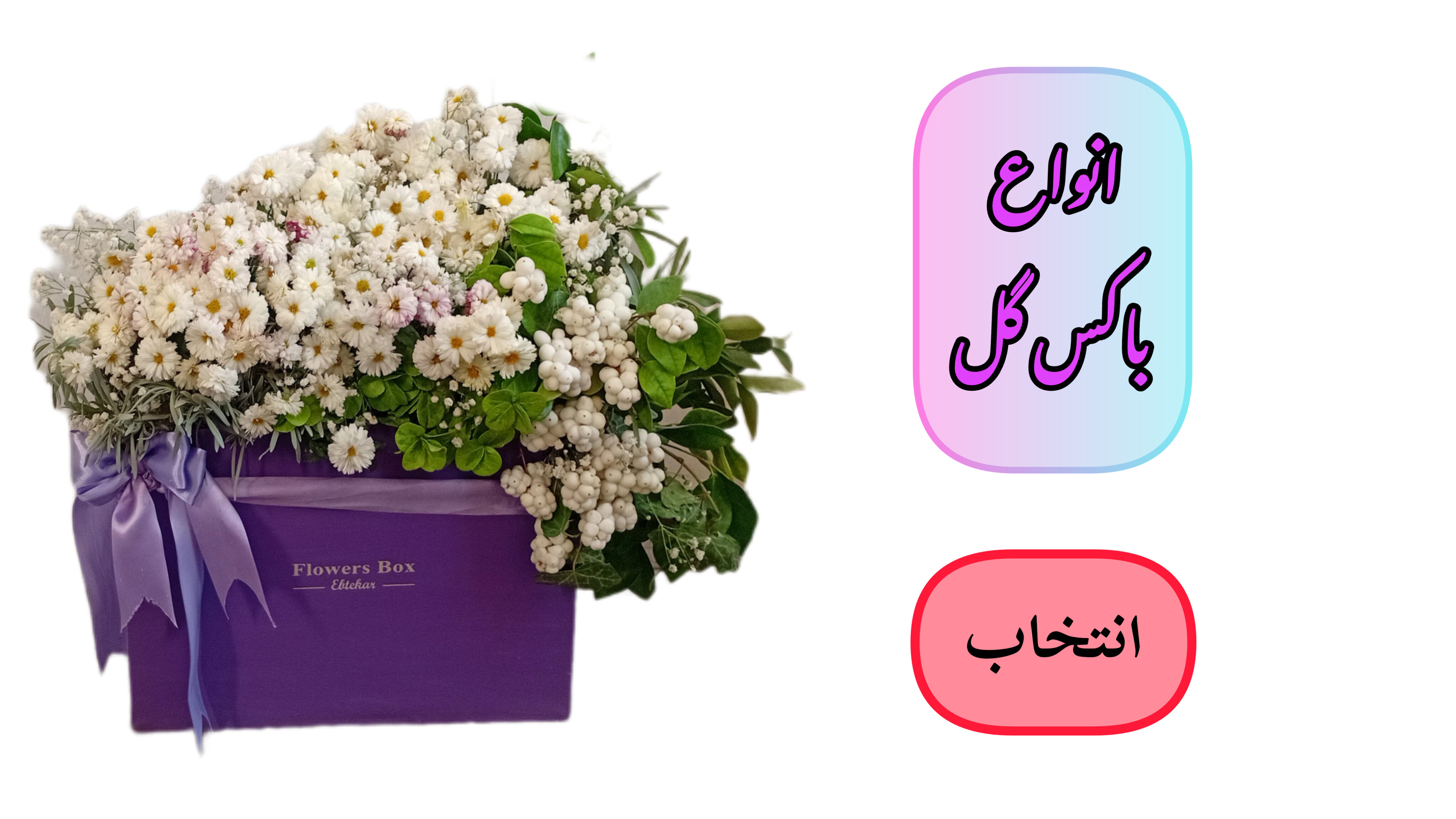 انتخاب دسته محصولات باکس گل تزئین با روبان برگ سبز