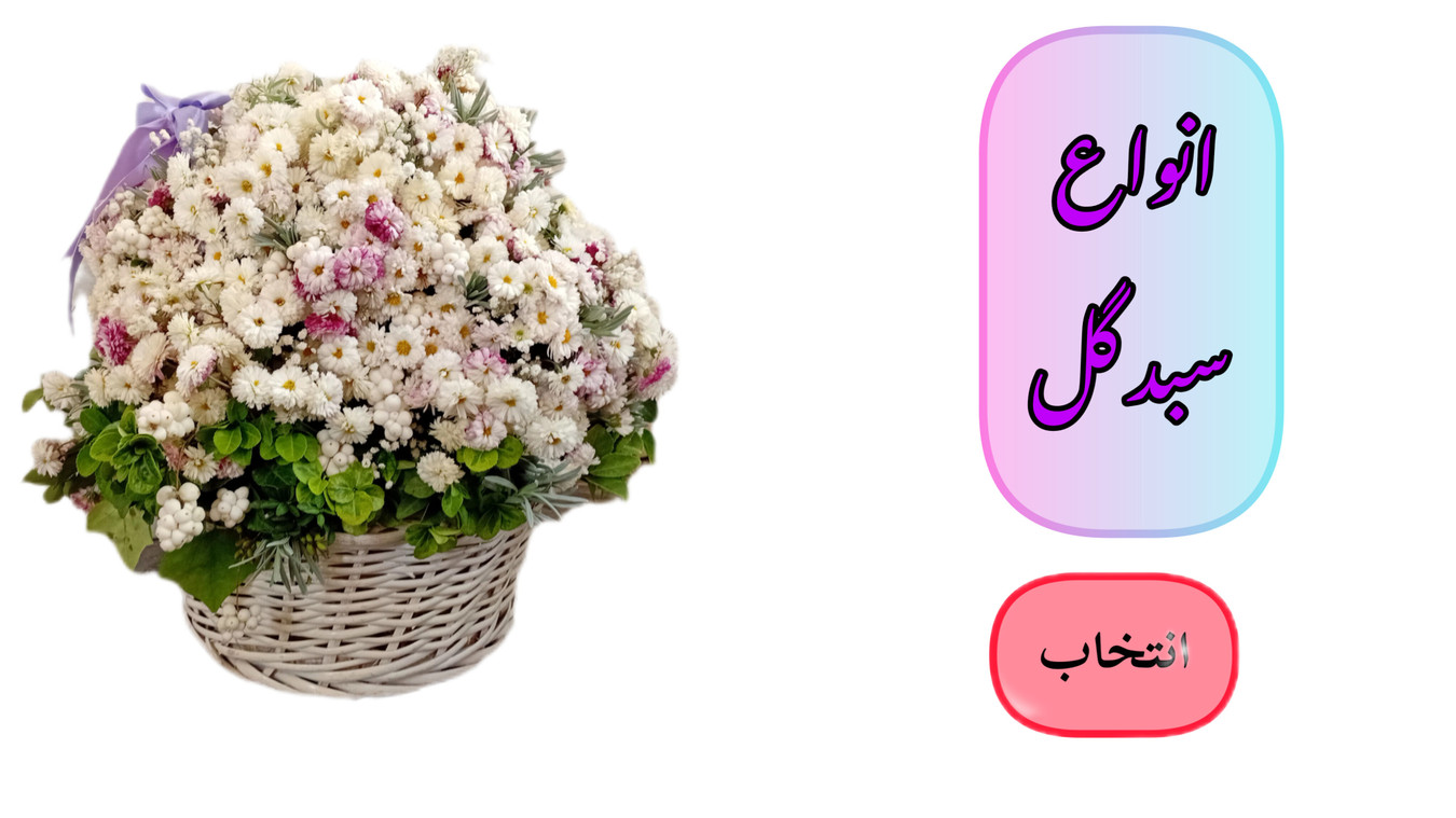 سبد-گرد-سفید-گل-داوودی-مینیاتوری-سفید-رویلن-یاسی-ساتن