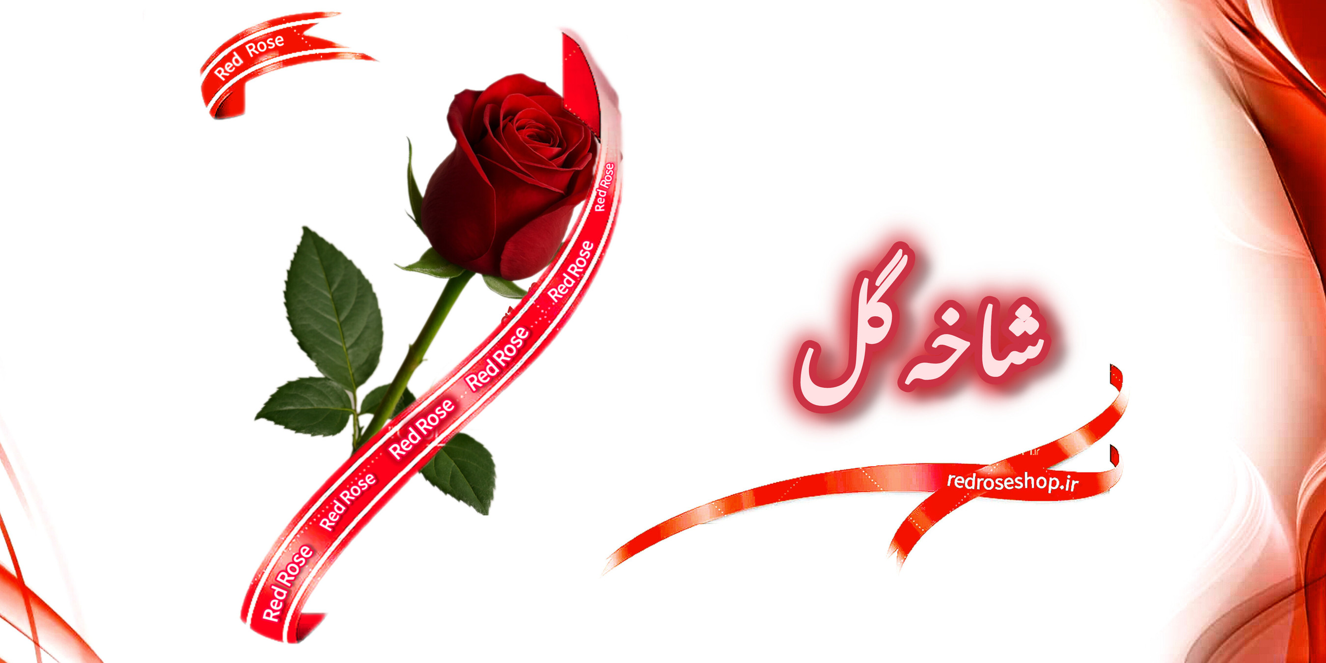 گل-شاخه-بریده-تازه