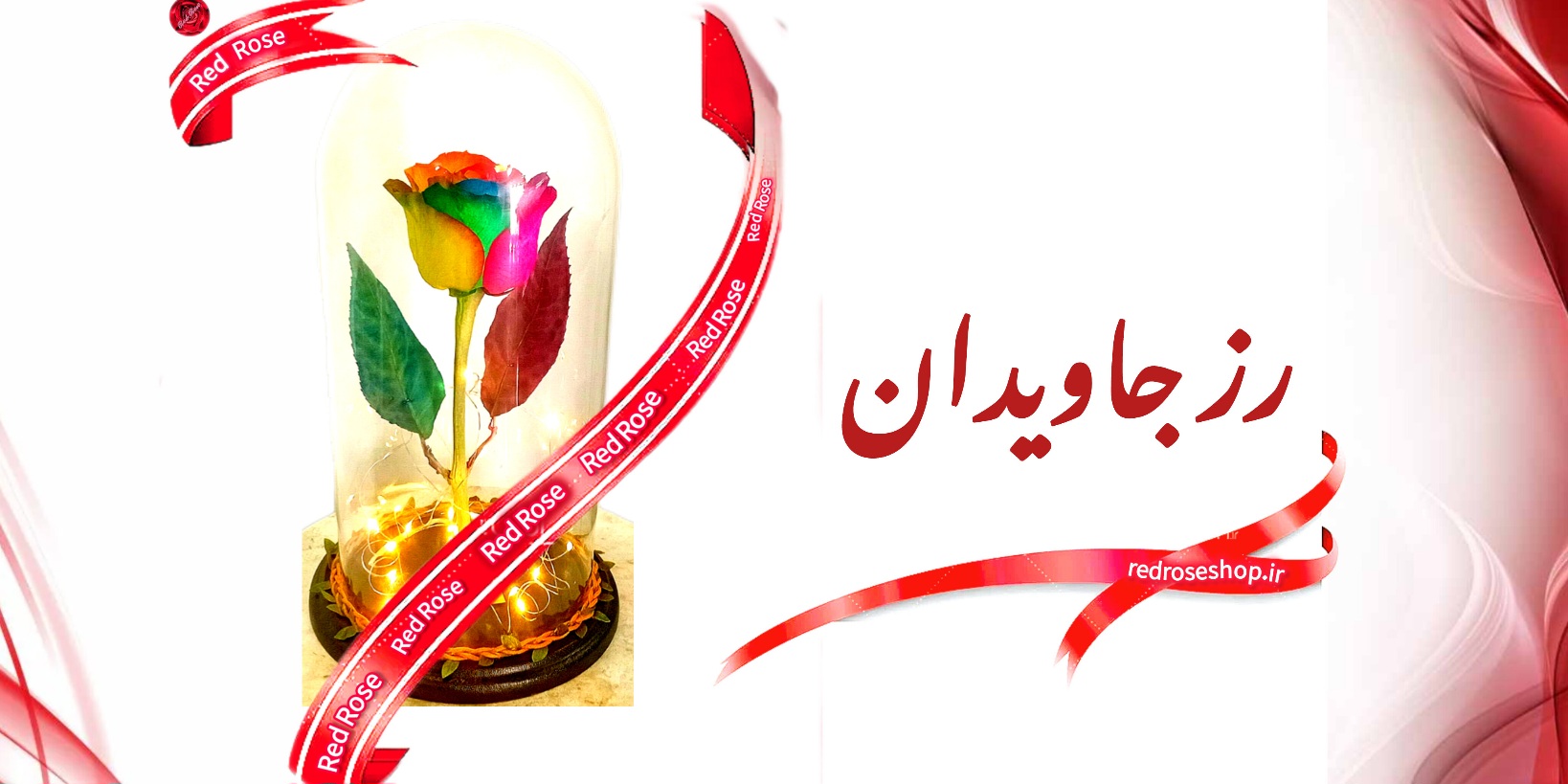 باکس -گل-رز-جاویدان