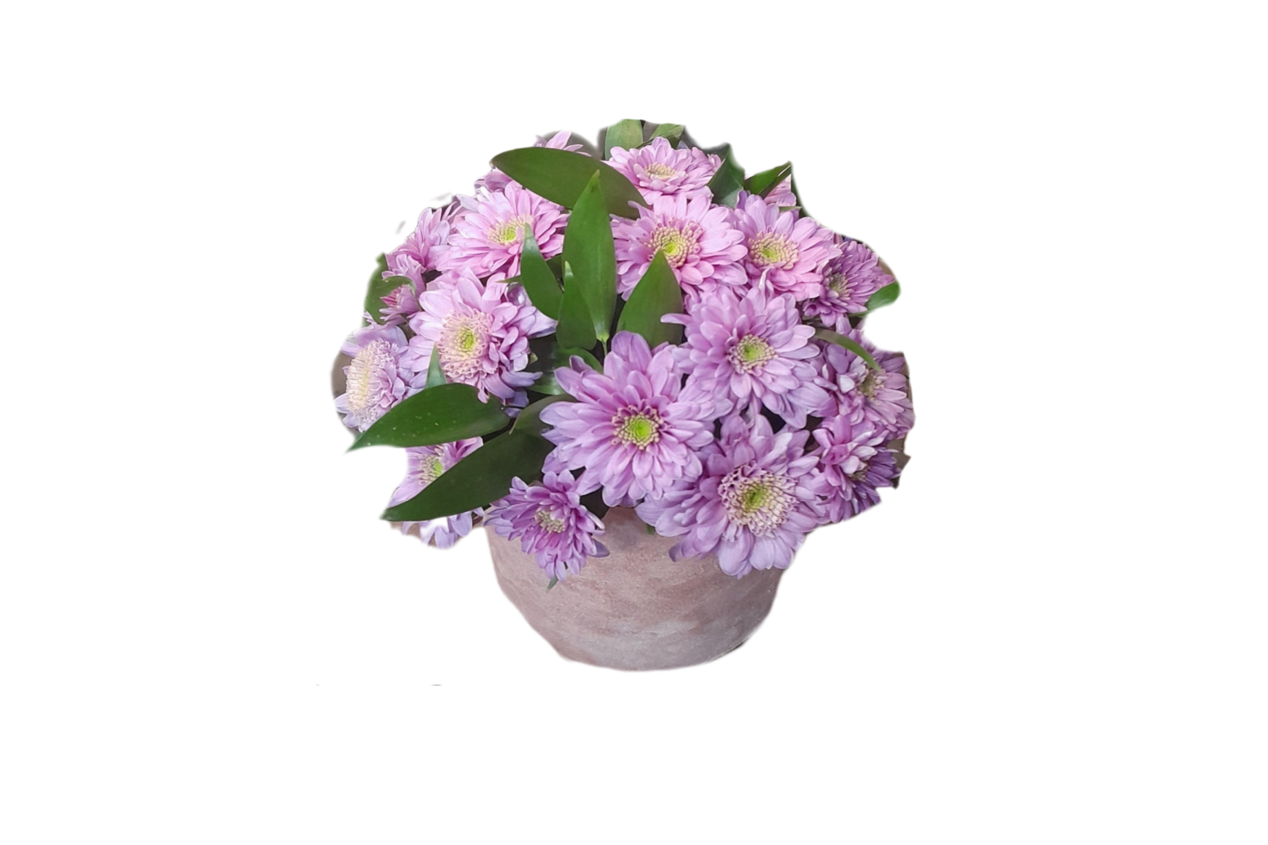 باکس_گل_داوودی_گرد_یاسی