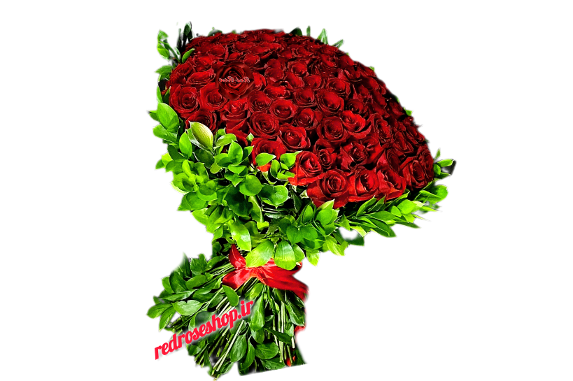 دسته_گل_رز_هلندی_قرمز_۱۰۰_شاخه_بلند_برگ_شمشاد_سبز_گلفروشی_کرج_redroseshop