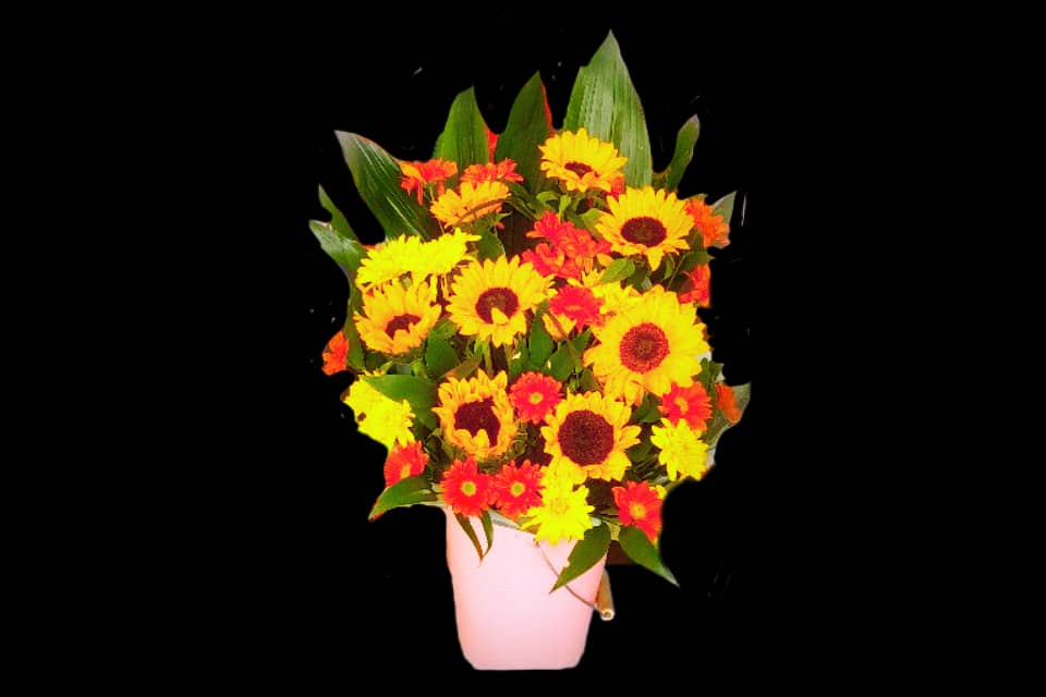 گل ژربرا زرد در باکس هدیه گلفروشی RedRoseShop 