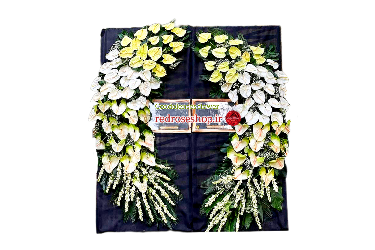 Taj_goʻl_tarhim