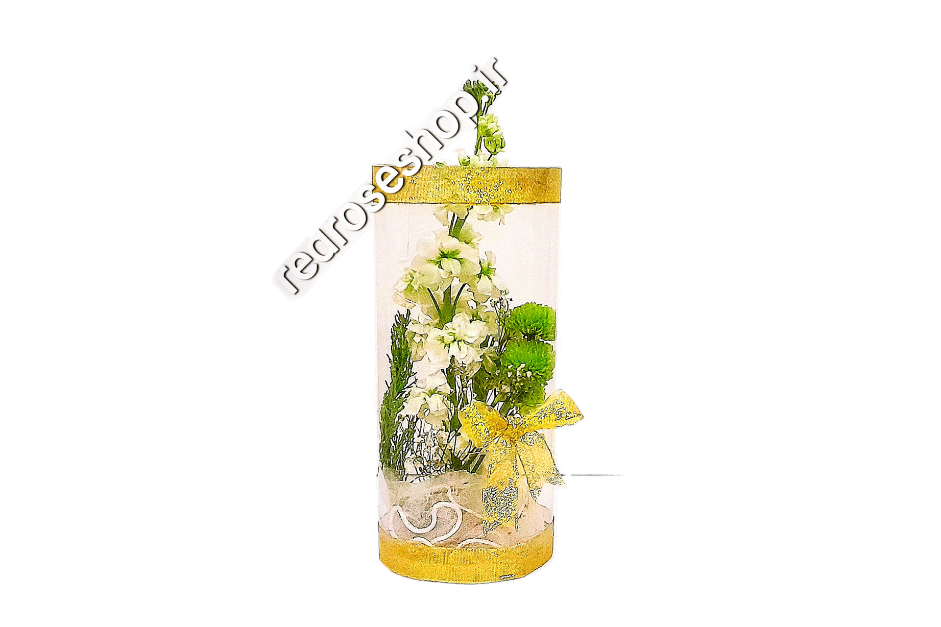 باکس-استوانه-تلقی-گل--داوودی-شبو-روبان-طلایی