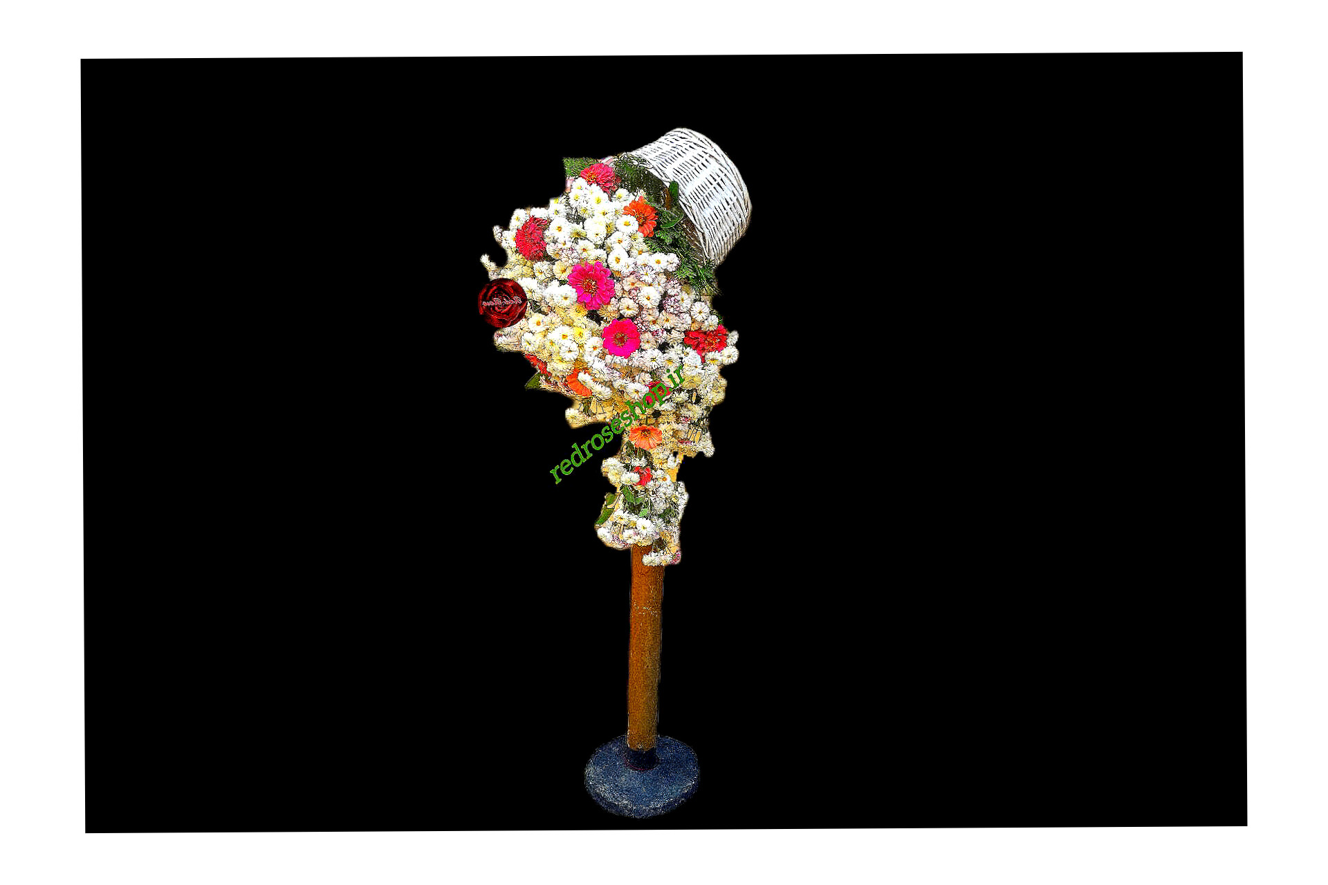 سبد-سفید-گل-داوودی-مینیاتوری-سفید-یاسی-پایه دار-آبشاری-گل-قرمز