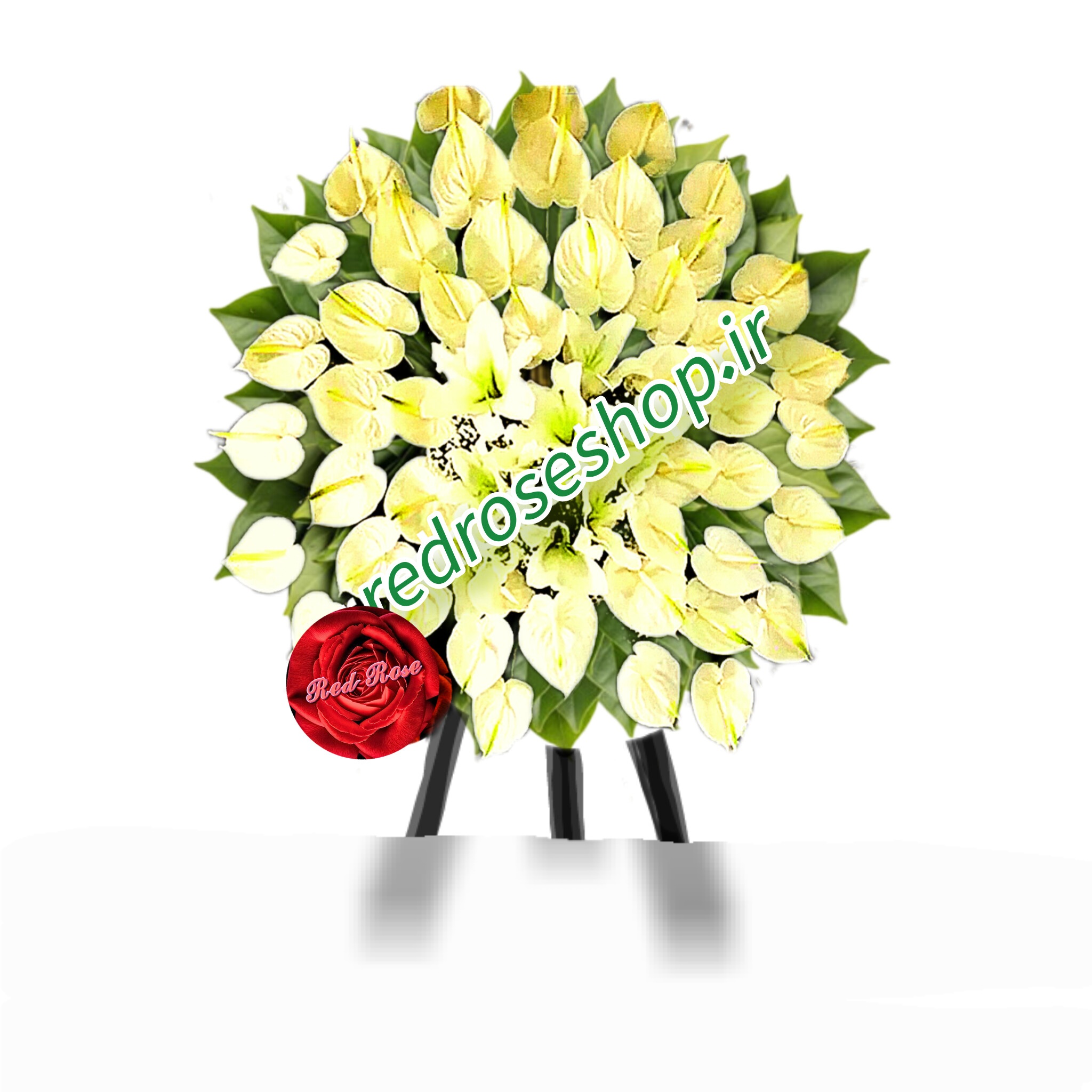 تاج-گل-یک-طبقه-گرد-آنتوریوم-سفید-گلفروشی-رز-قرمز.jpg