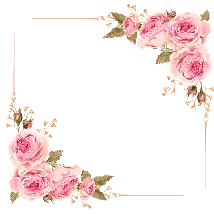 حاشیه-گل-رز-صورتی-کادر-پیام-تبریک-مراسم-جشن