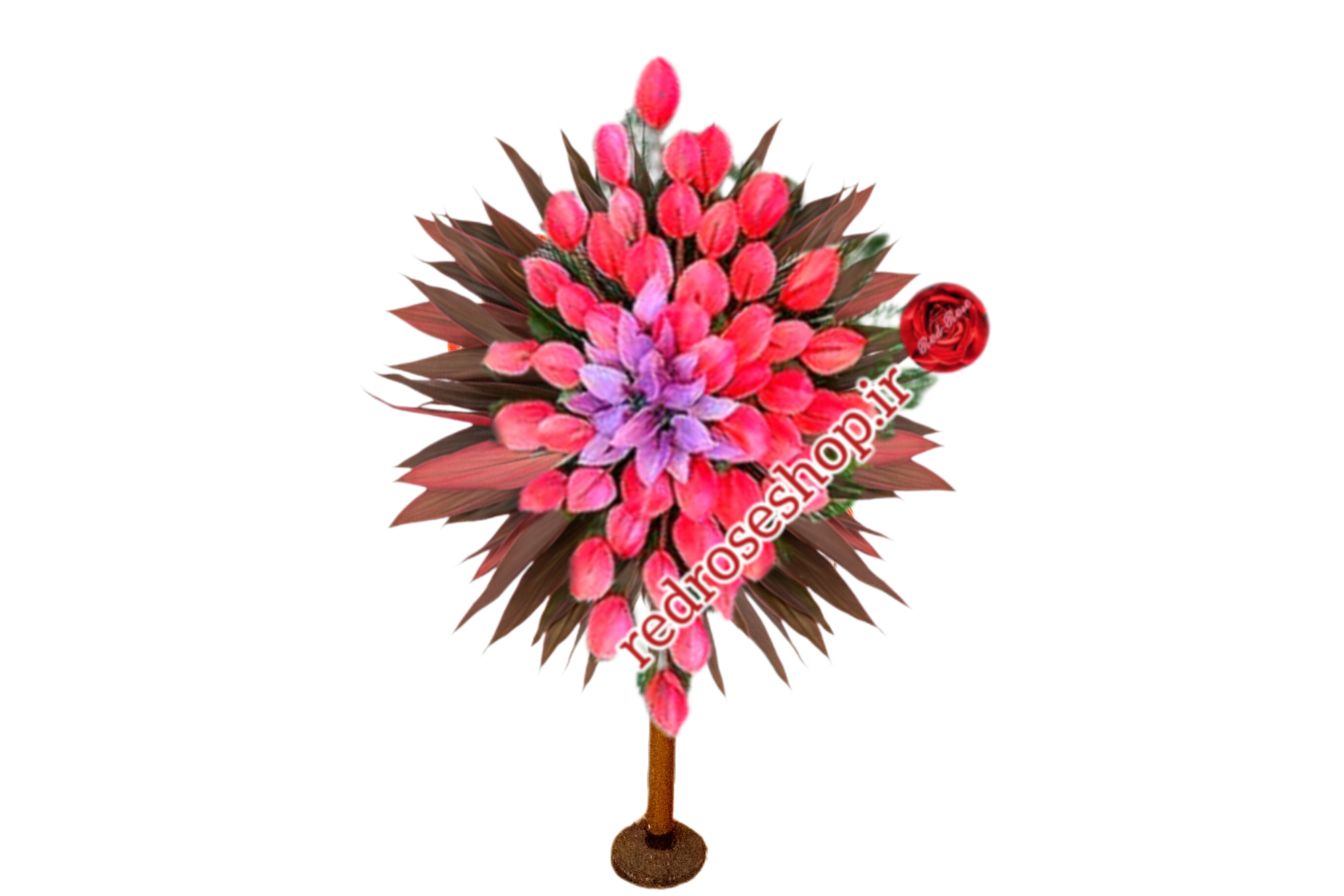 ‪تاج-گل-آنتوریوم-صورتی-آنتوریوم-قاشقی-بنفش-لوزی-برگ-تیره