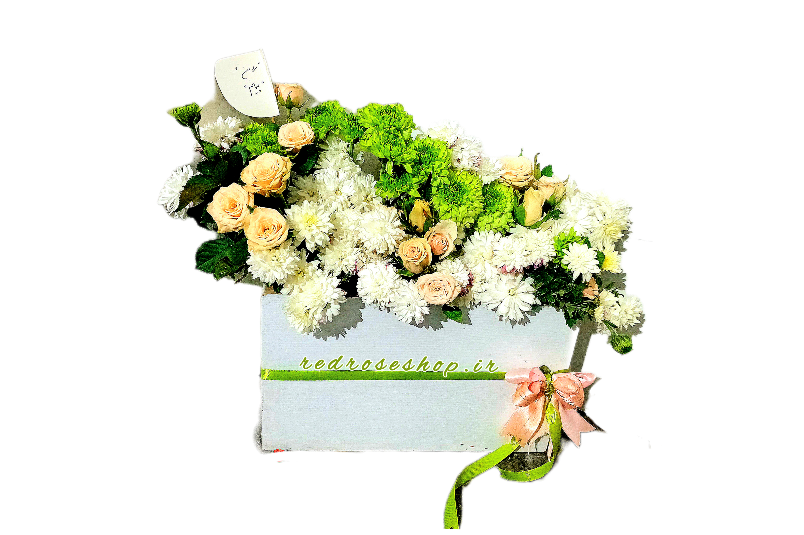 باکس-گل-هدیه-روز-پدر-مرد-رز-مینیاتوری-گلبهی-داوودی-سبز-روبان-سبز