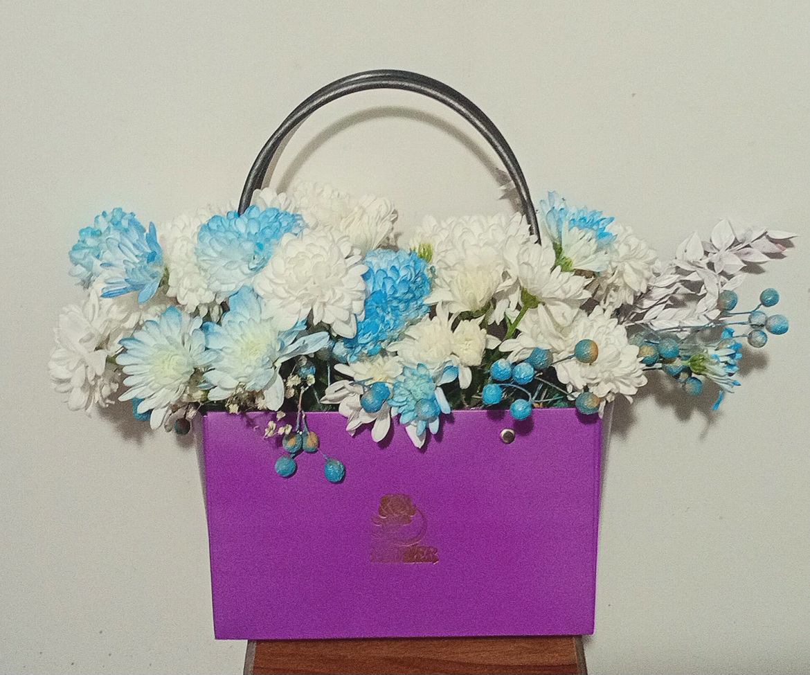 بگ-فلاور-داوودی-سفید-ابی