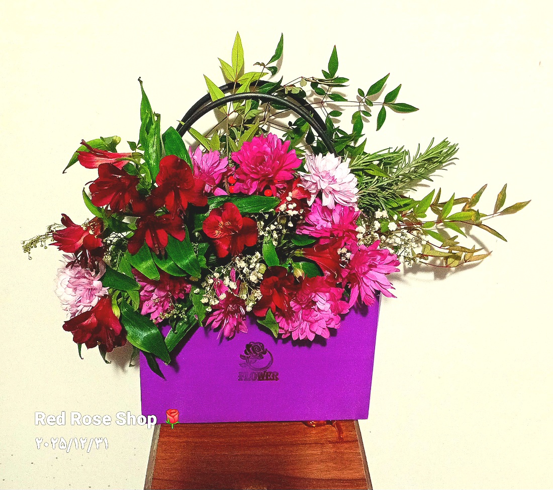 بگ-فلاور-السترومریا-بنفش-جیگری-داوودی-یاسی