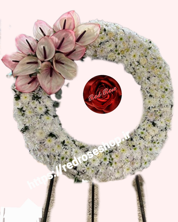 داوودی انتوریوم تاج گل