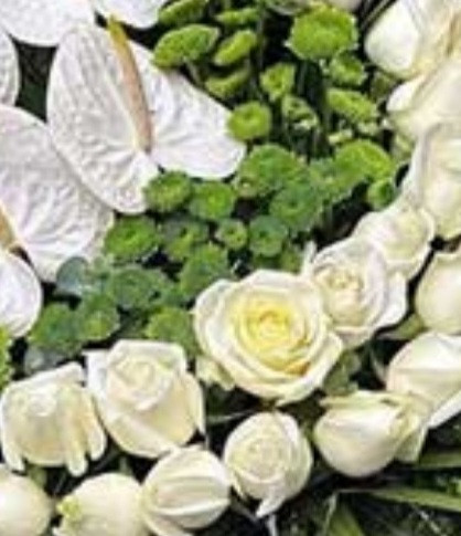 باکس گل انتوریوم رز داوودی