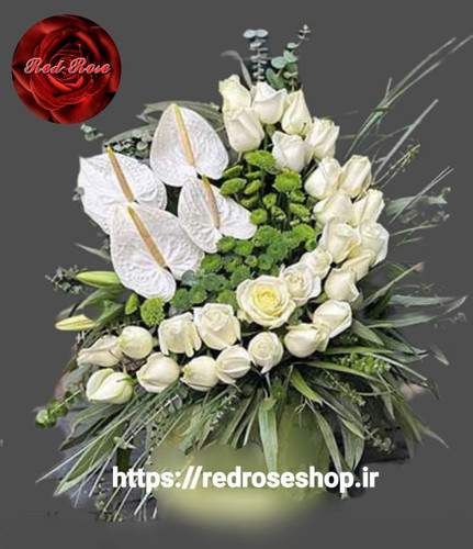 باکس-گل- انتوریوم -رز -سفید-داوودی-سبز