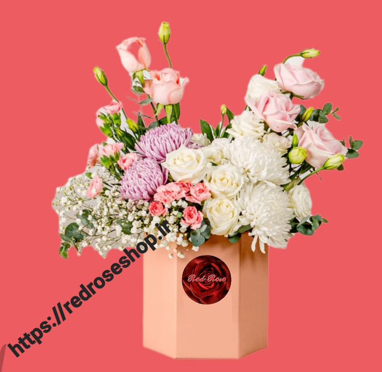باکس گل شیک زیبا تبریک ارزان رز داوودی
