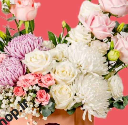 گل های تازه رز،داووددی