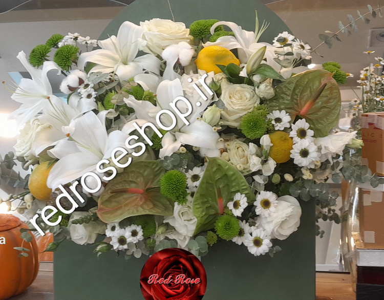 باکس گلایل داوودی سبز و سفید