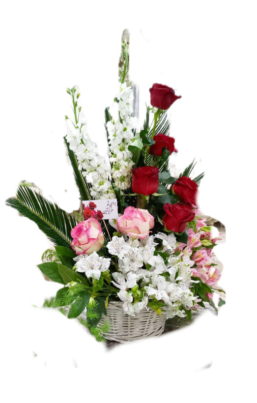 سبد گل رز شبو السترومریا شیک