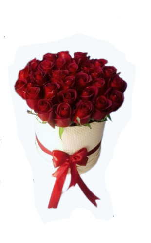 باکس گل رز قرمز هلندی