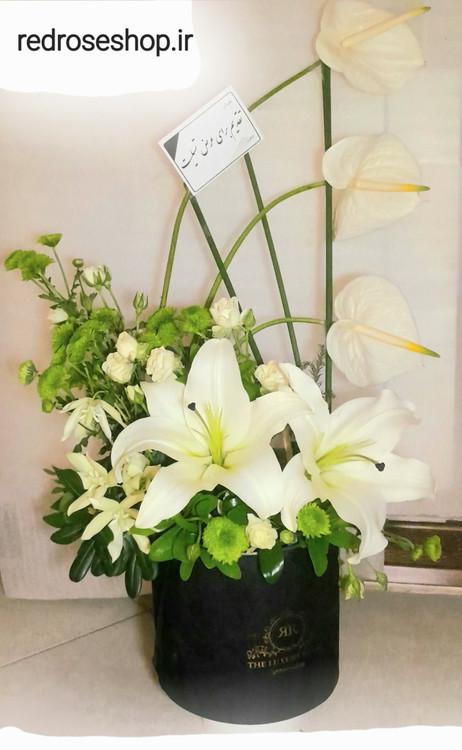 باکس گل طبیعی اورینتال انتوریوم داوودیرز مینیاتوری تسلیت وابراز همدردی