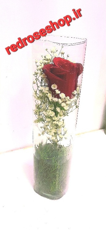 گل رز قرمز در جام شیشه