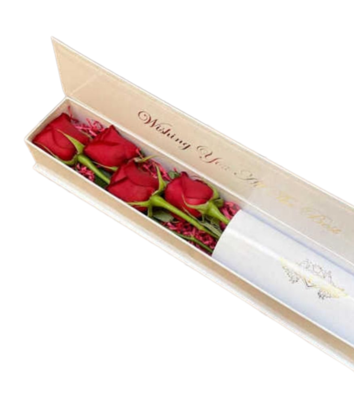 باکس گل رز قرمز هلندی