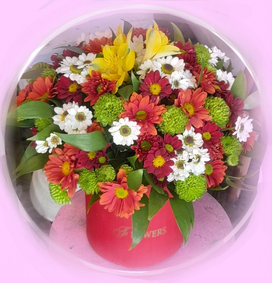 باکس گل تبریک داوودی، ژربرا،آلسترومریا، بابونه