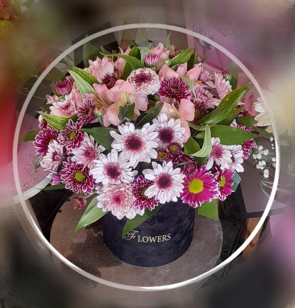 باکس گل داوودی،آلسترومریا