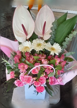 باکس گل آنتوریوم، آلسترومریا، میخک،ژربرا