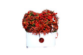 باکس -سفید-گل های-قرمز-فریزیا-آلسترومریا-رز-برگ-قرمز-و-سبز-طرح-قلب