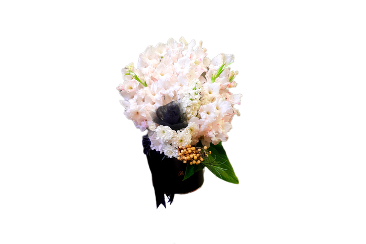 باکس گل تسلیت گلایل داوودی