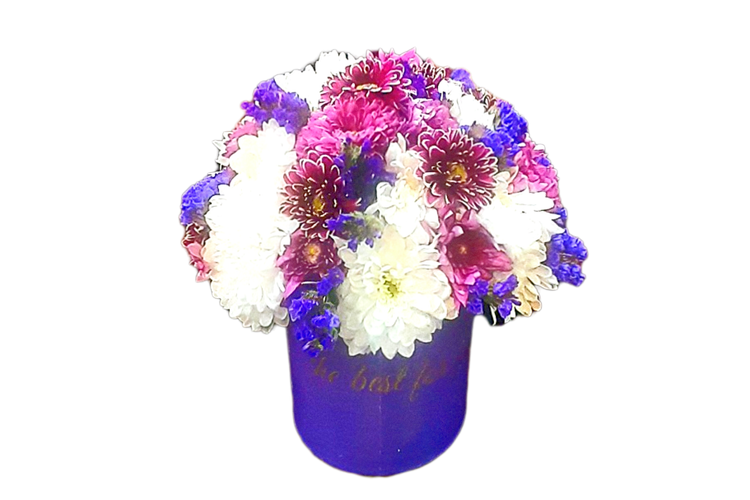 باکس گل داوودی سفید،یاسی تبریک