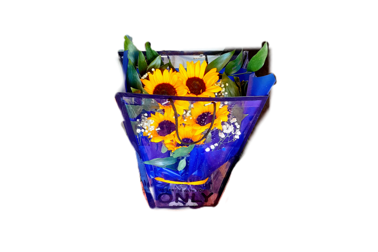 بگ فلاور طلقی آفتابگردان