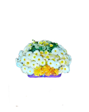 باکس گل داوودی بروکلی