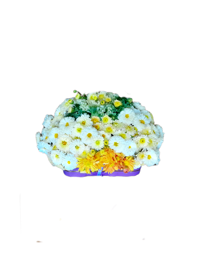 باکس گل داوودی بروکلی