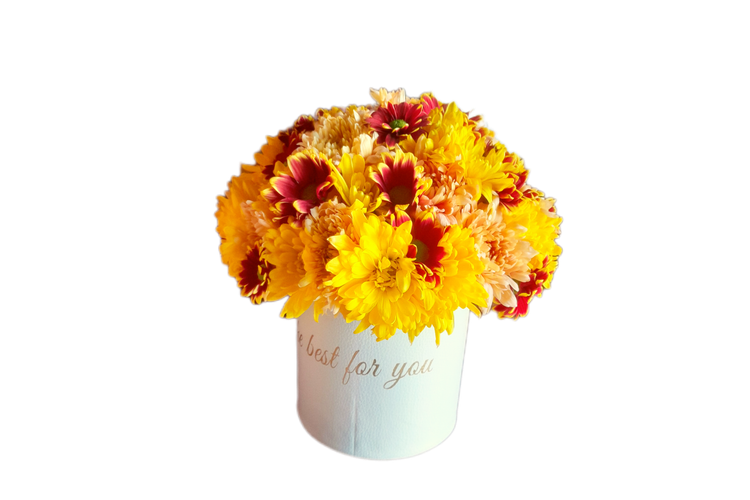 باکس گل داوودی زرد