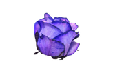رز بنفش