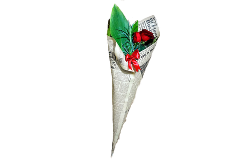 دسته گل رز دوشاخه قیفی