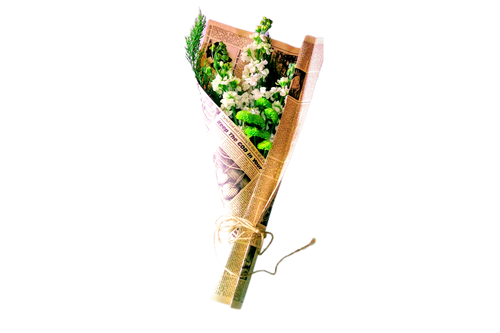 دسته گل شبو داوودی