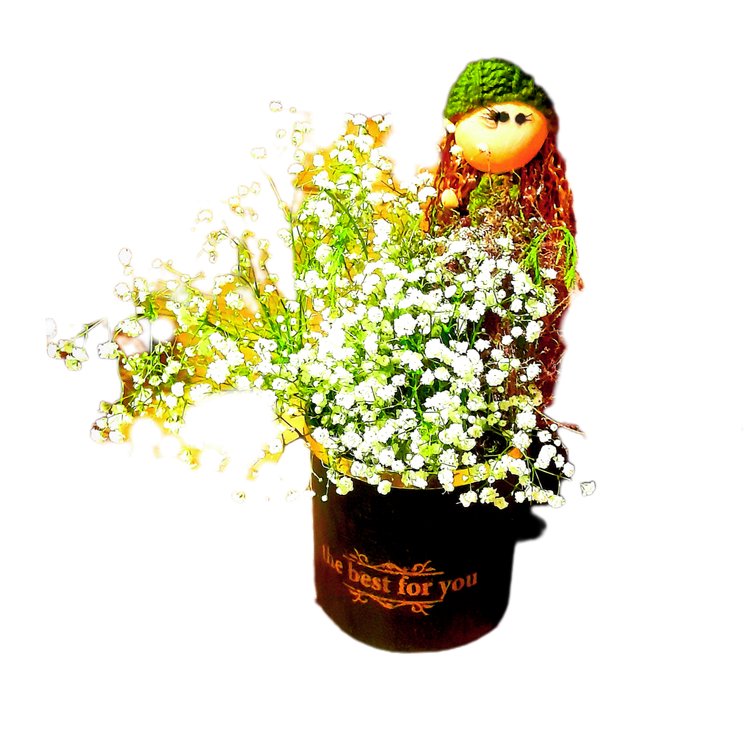 باکس- گل - عروسک-هدیه
