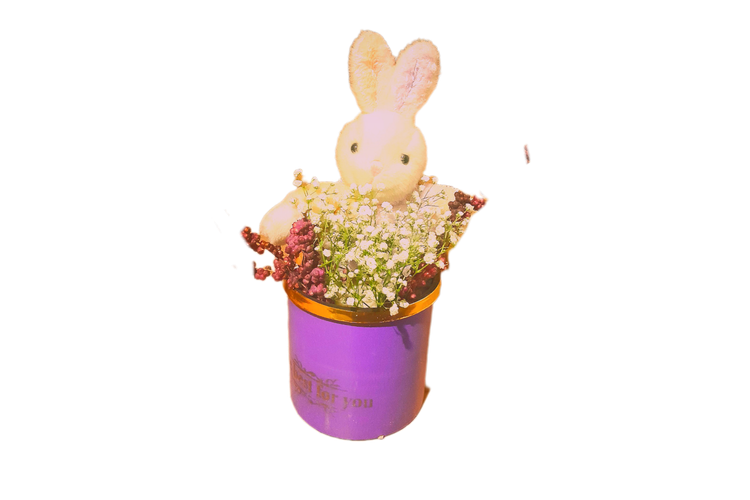 باکس -هدیه- عروسک- خرگوش-پولیشی-دخترونه-یاسی