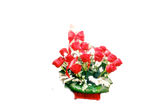 سبد -گل- رز -قرمز-گرد-برگ-سبز