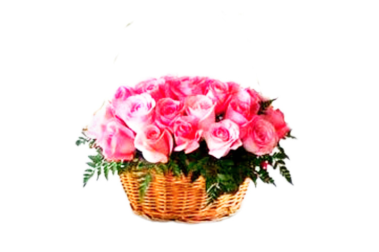 سبد گل رز صورتی