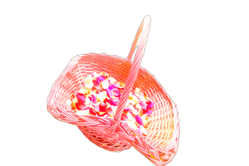 گلبرگ گل رز