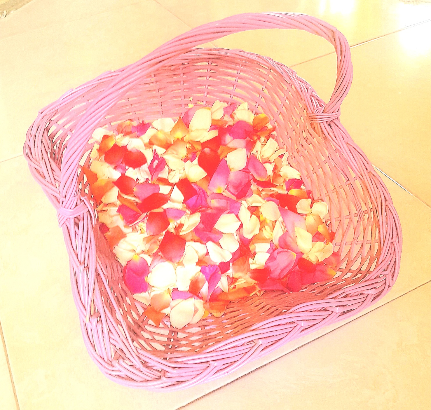 گلبرگ گل رز