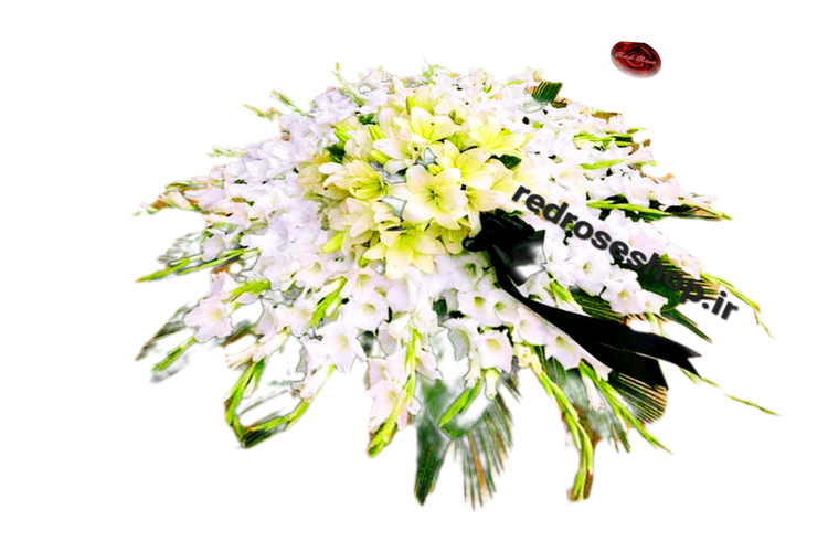 گل رومیزی گرد لیلیوم گلایل