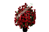 باکس گل رز ۵۰ شاخه بزرگ