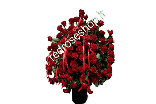 باکس گل رز ۵۰ شاخه بزرگ